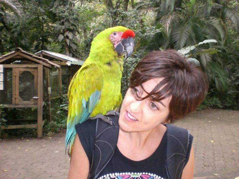 Friendly macaw at the sanctuary
