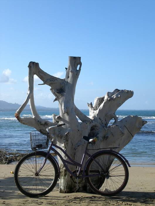 Puerto Viejo biking