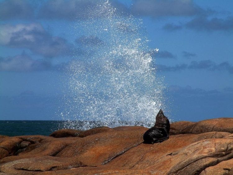 things to do in Uruguay