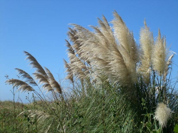 Uruguay beaches