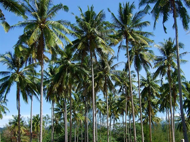 Thailand beaches
