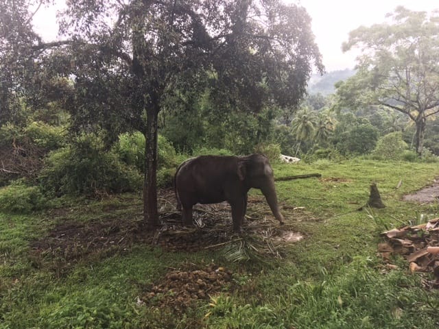 Sri Lanka