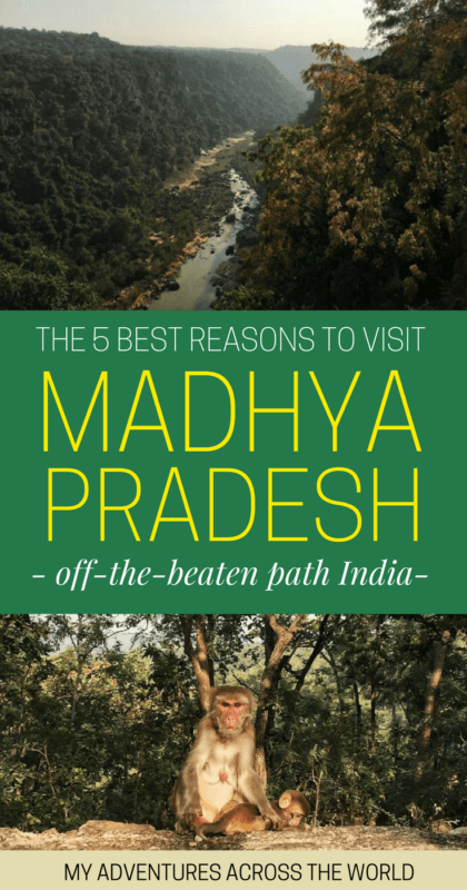 Learn why you should visit Madhya Pradesh - via @clautavani