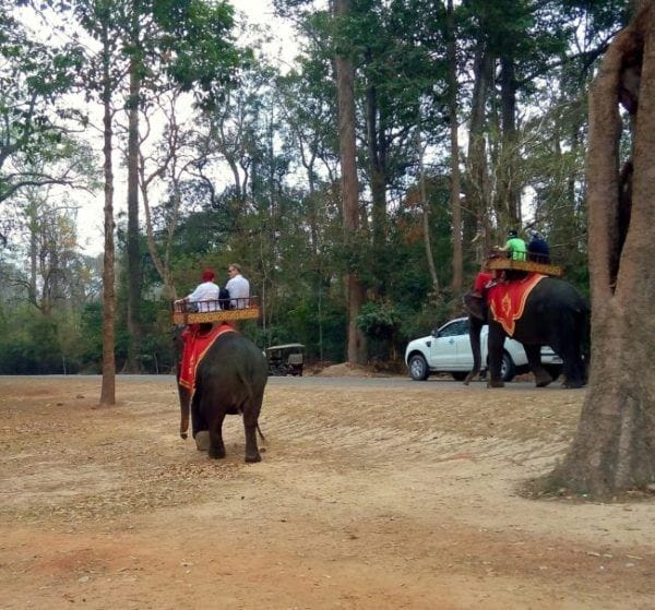 What NOT to do in Siem Reap
