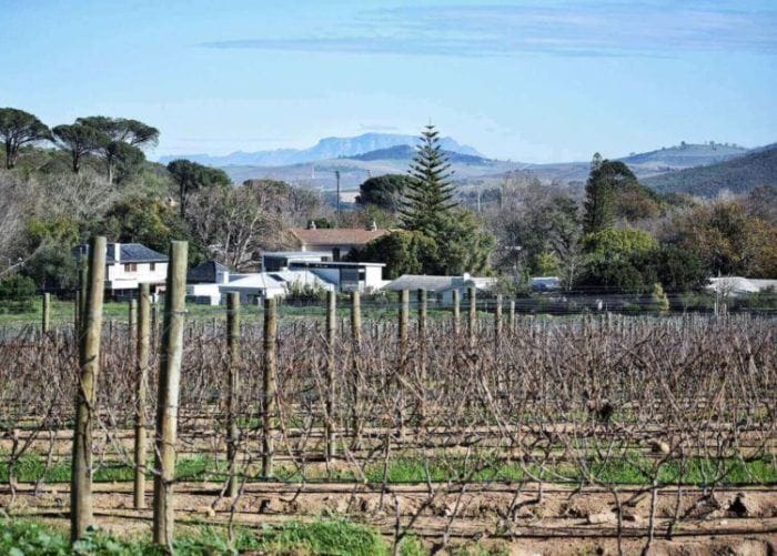 The wine estates in Stellenbosch are gorgeous