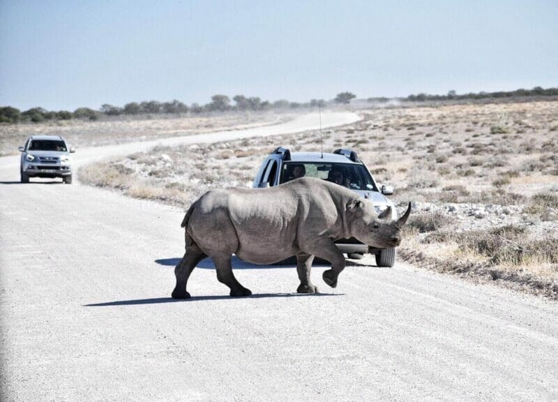 etosha
