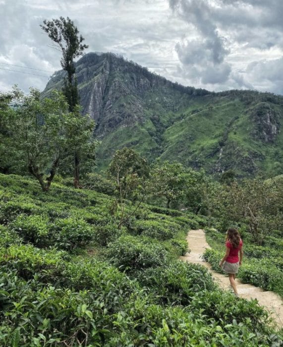 28 Absolutely Beautiful Places To Visit In Sri Lanka 28 Absolutely Beautiful Places To Visit In Sri Lanka