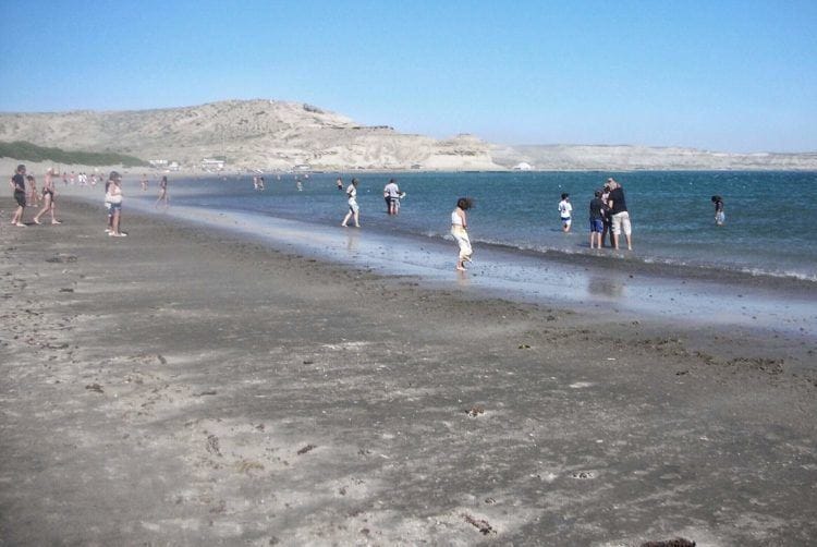 things to do in Puerto Madryn Argentina