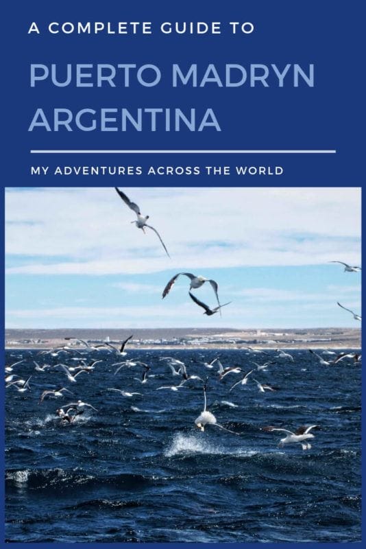 Discover what to do in Puerto Madryn Argentina - via @clautavani