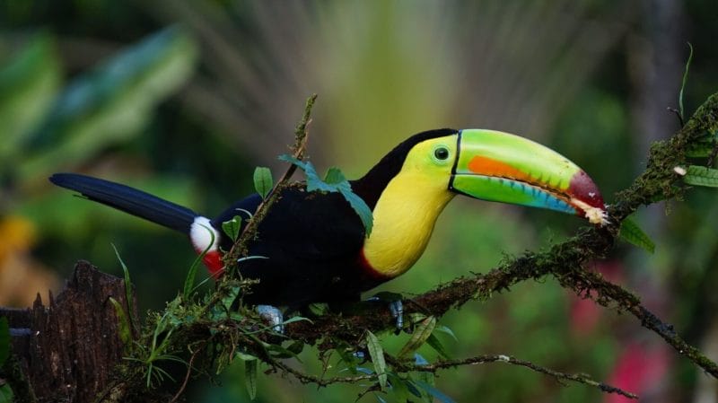 Places to visit in Costa Rica