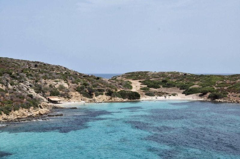 Asinara Sardinia