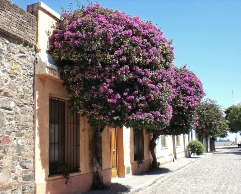 best cities in south america