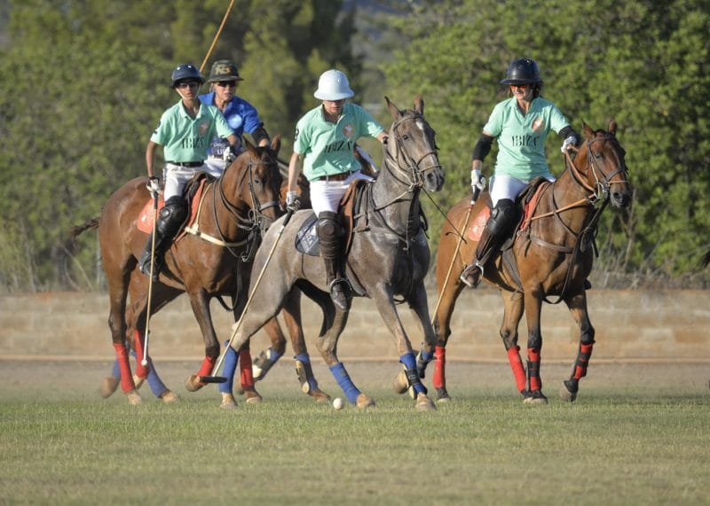 a game of polo
