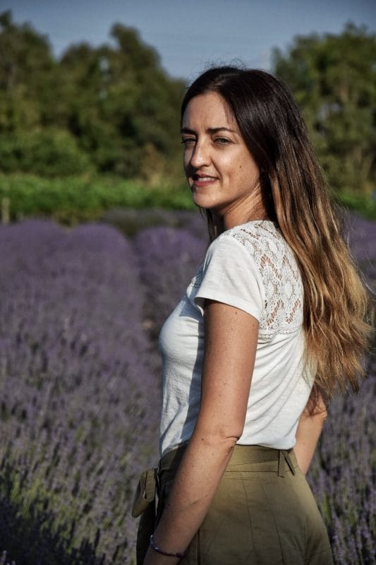 Lavender fields in Sardinia