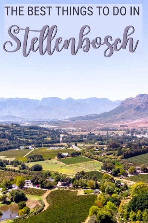 17 Best Things To Do In Stellenbosch