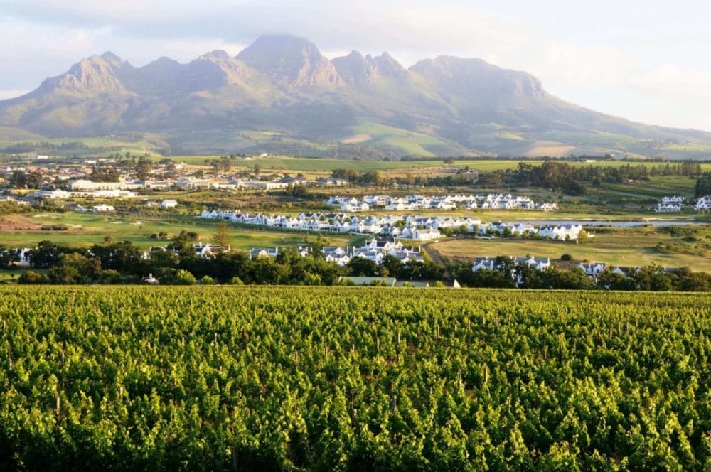 17 Best Things To Do In Stellenbosch