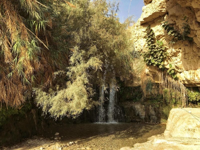 A Guide To Renting A Car In Israel 13 Best Things To Know