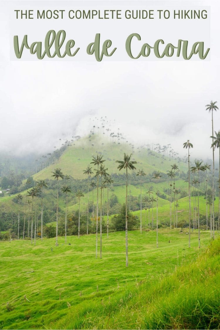 Read what you must know about the Cocora Valley hike - via @clautavani