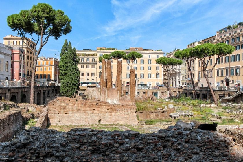 cats of Rome
