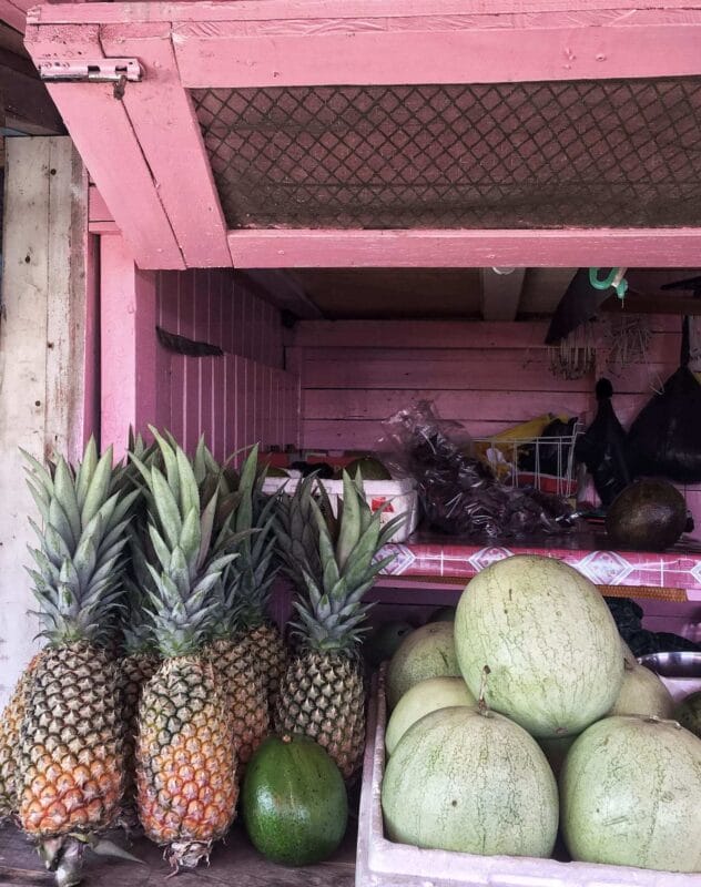 fruit in Guyana