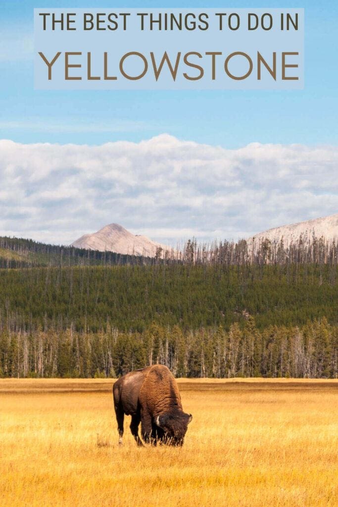 Discover the best things to do in Yellowstone - via @clautavani