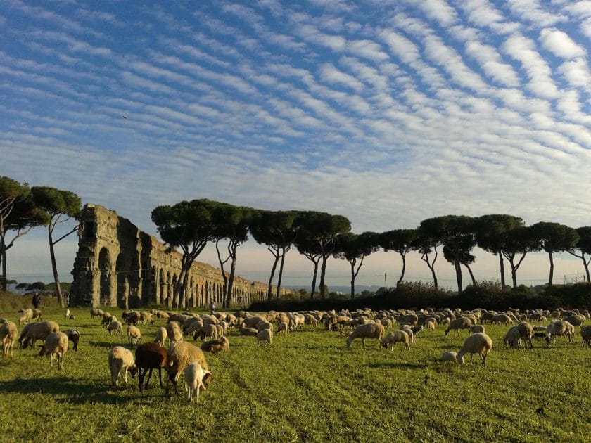Parks in Rome