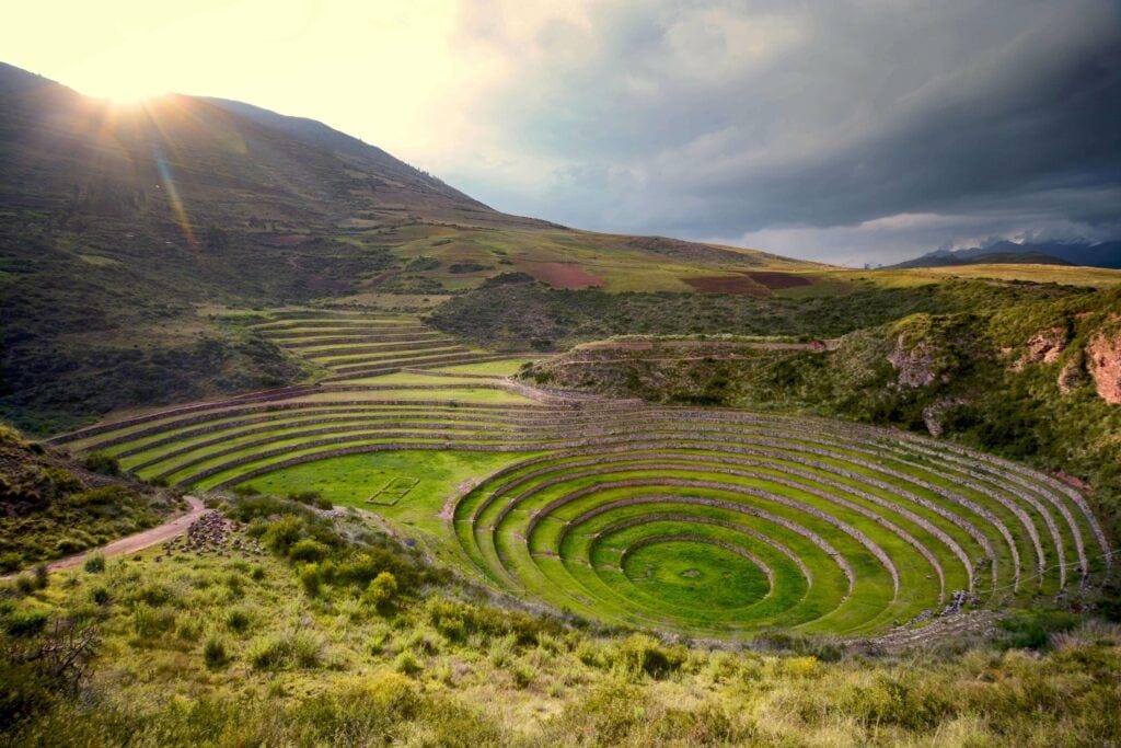 Moray