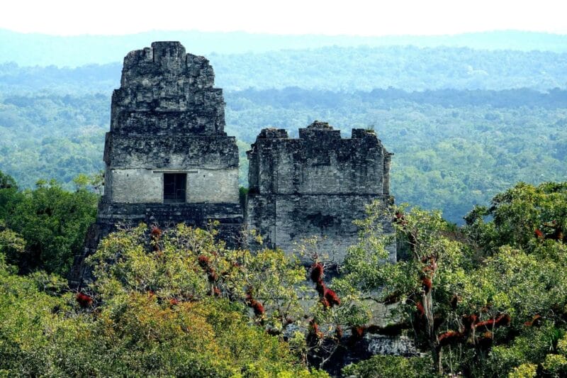 things to do in Guatemala Tikal