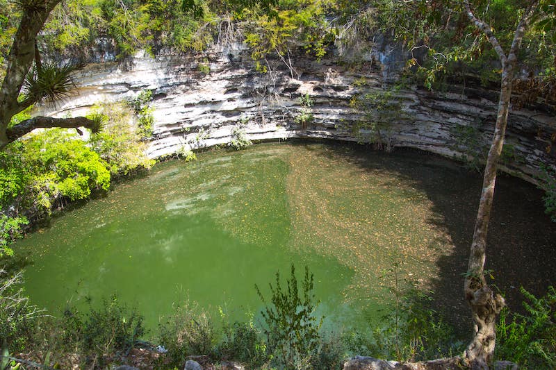 Valladolid Cenotes