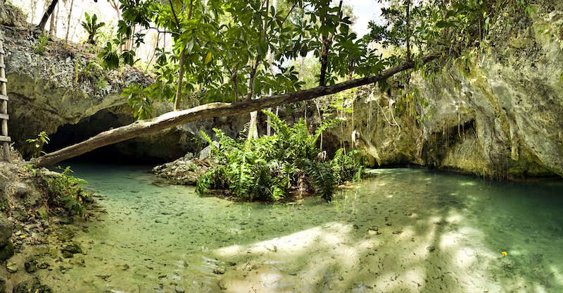 Mexico Cenotes