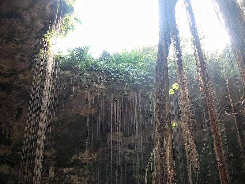 Valladolid cenotes