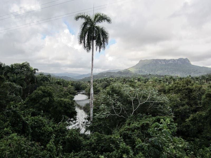 El Yunque