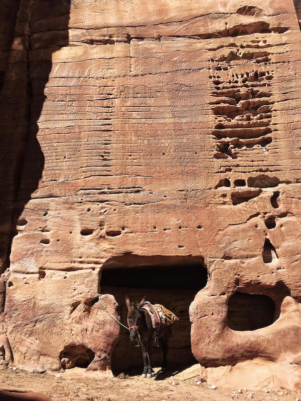 Petra