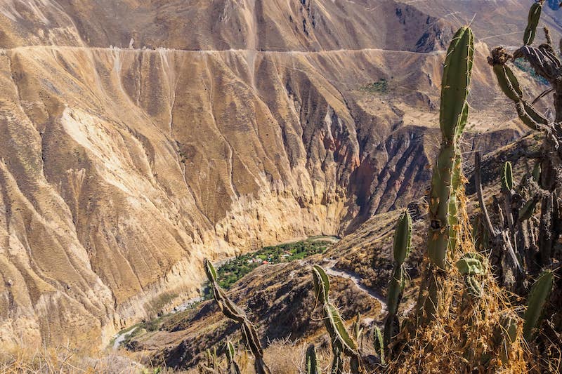 Colca Canyon Peru
