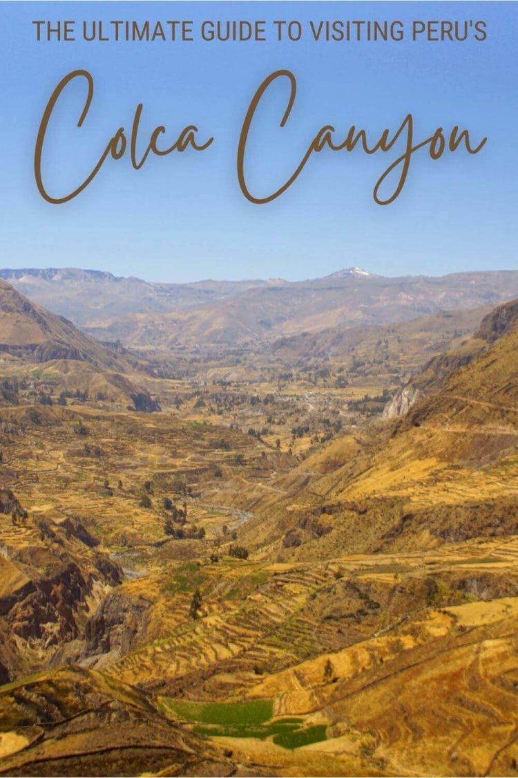 Discover how to make the most of the Colca Canyon, Peru - via @clautavani