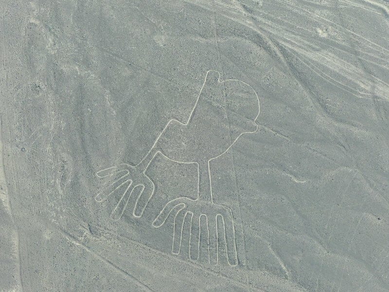 Nazca Lines flight