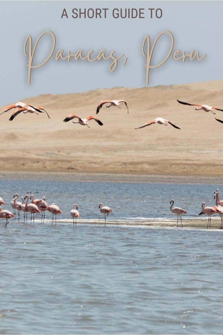 Read about the best things to see and do in Paracas, Peru - via @clautavani
