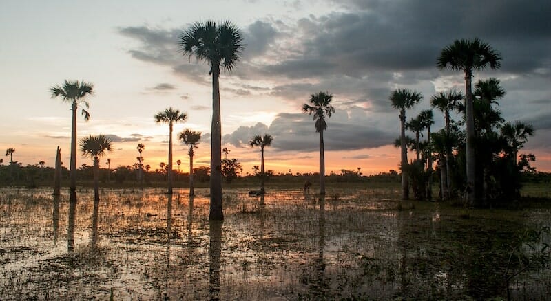 Cienaga de Zapata