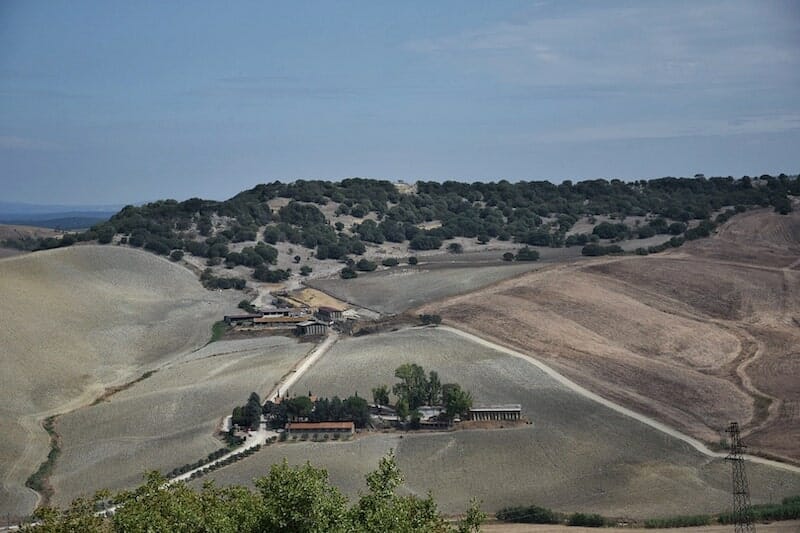 Tarquinia