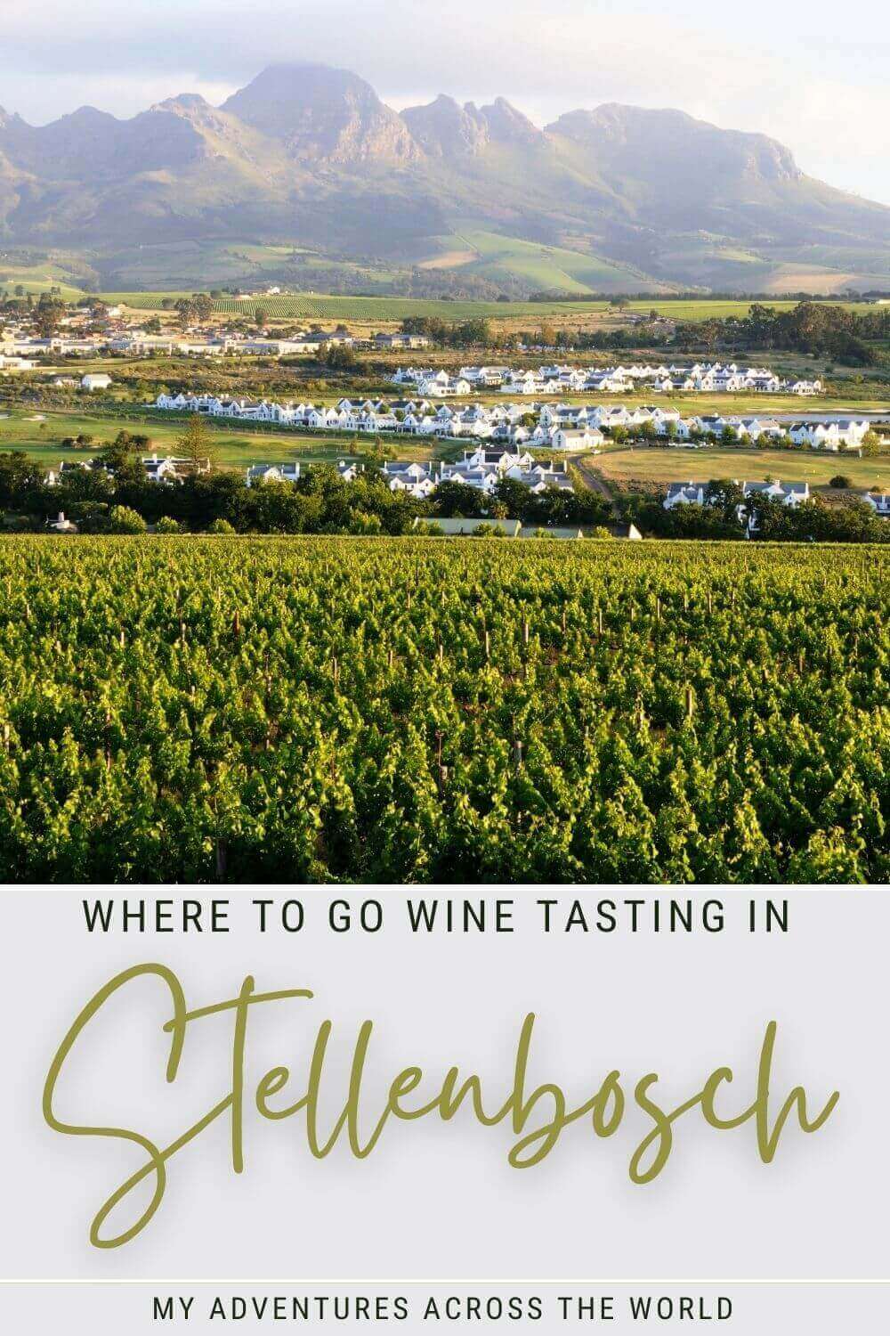 Wine Tasting In Stellenbosch: The 7 Best Estates