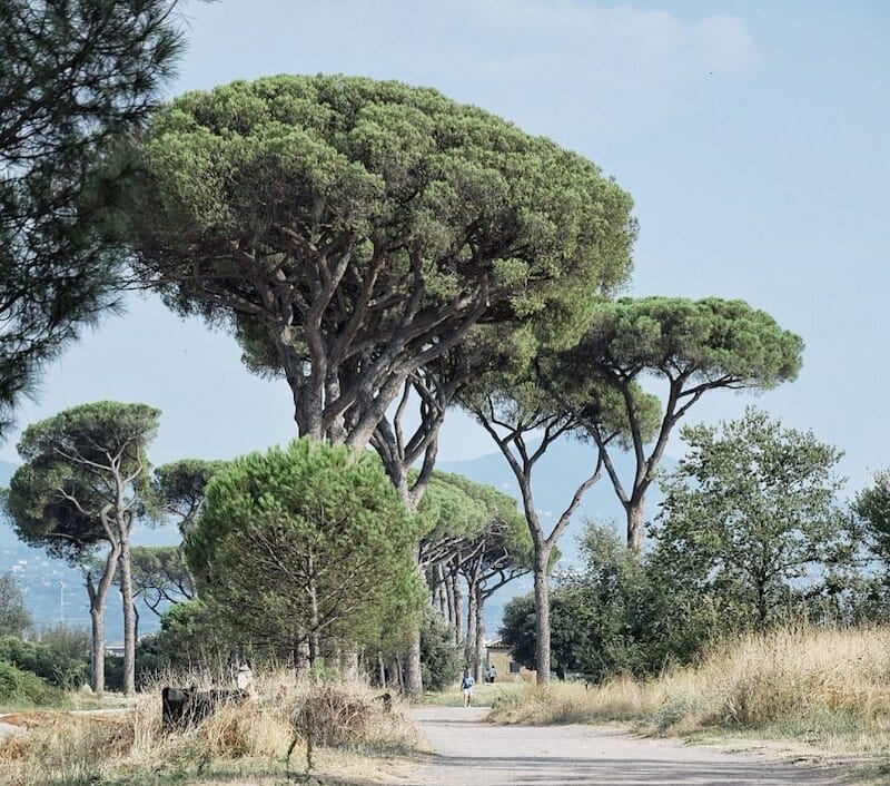 Parco degli Acquedotti Rome