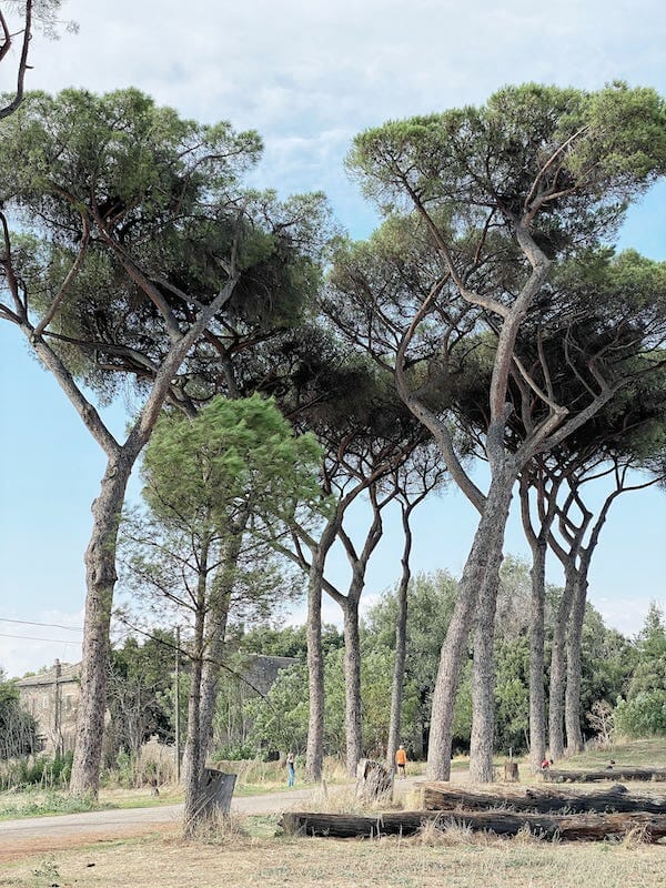 Parco degli Acquedotti