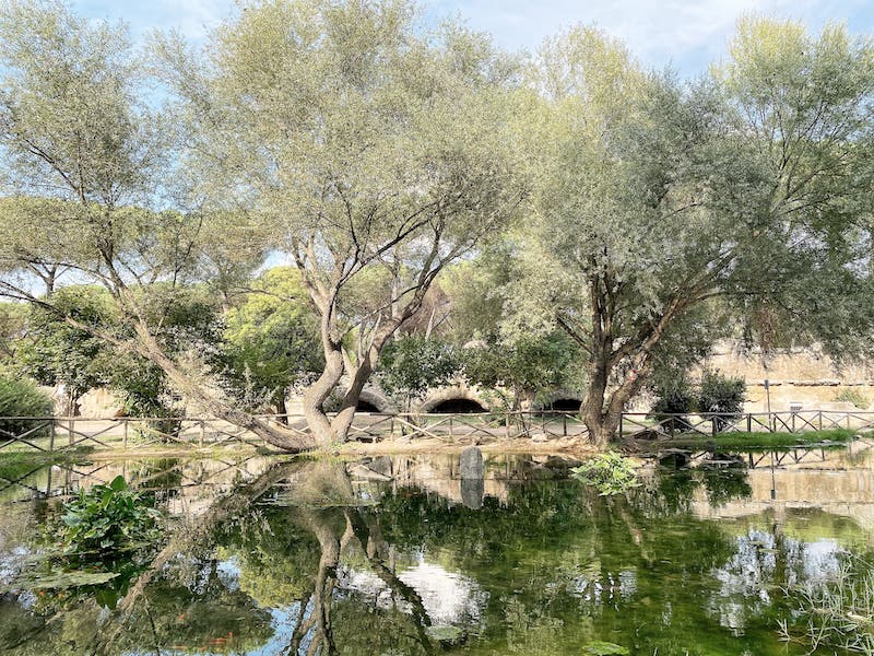 Parco degli Acquedotti
