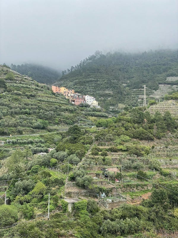 Manarola