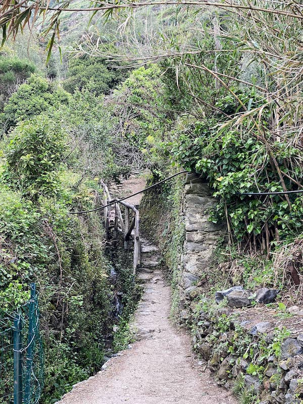 hiking the Cinque Terre