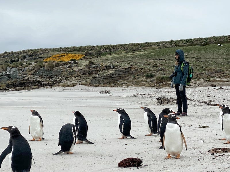 what to wear in the Falkland Islands
