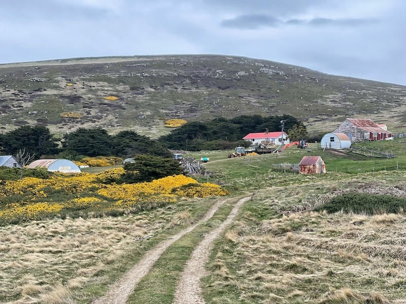 reasons to visit the Falkland Islands