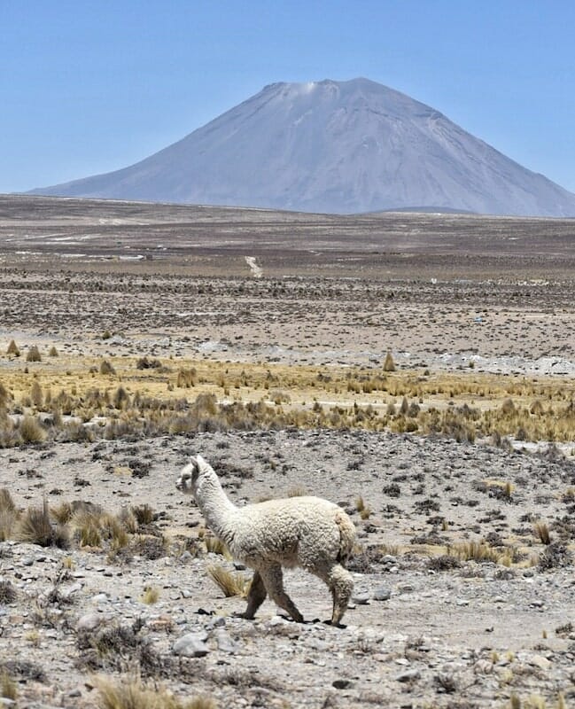 Colca Canyon