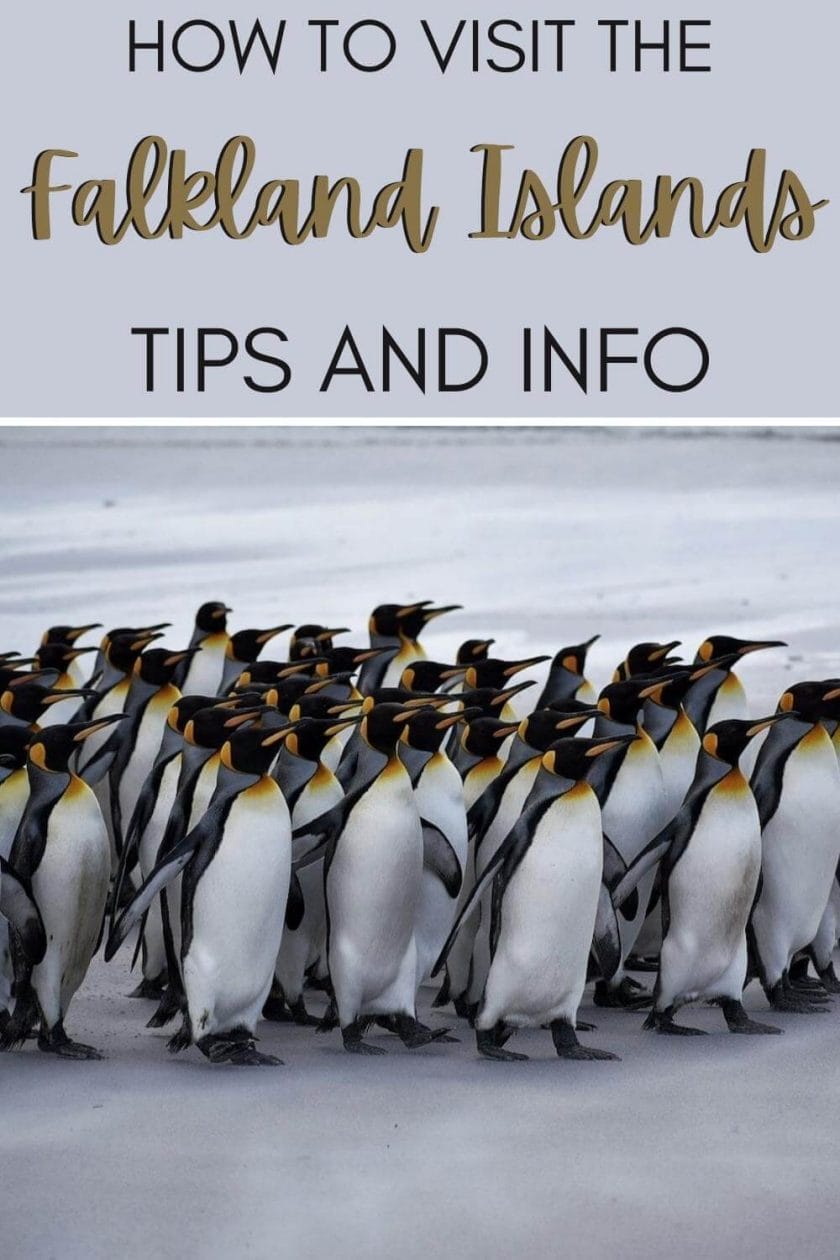 Discover what you must know before visiting the Falkland Islands - via @clautavani