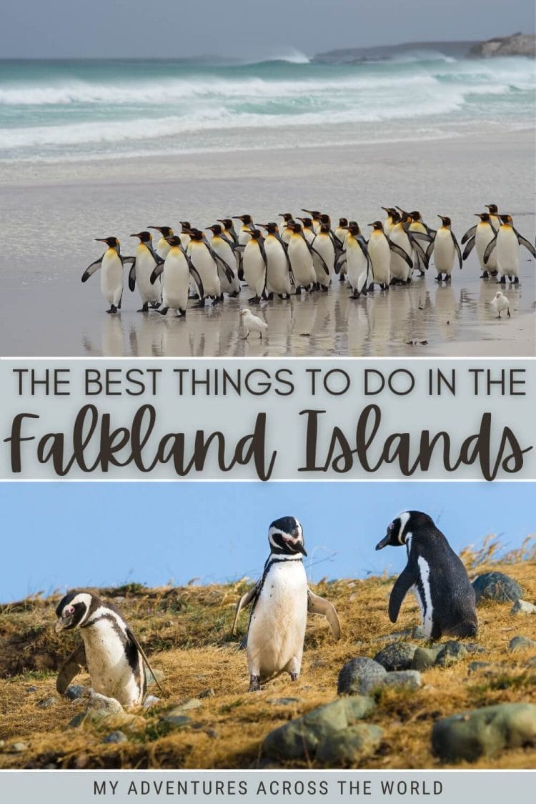 Discover the best things to do in the Falkland Islands - via @clautavani